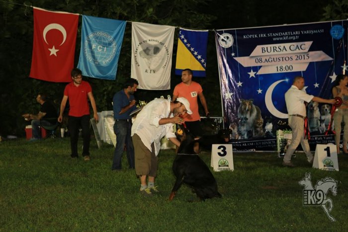 Club K9 da  KIF VI. BURSA ULUSAL IRK STANDARTLARI YARIŞMASI CAC resimleri